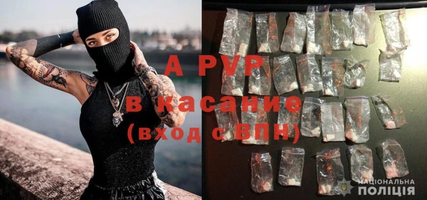 винт Ладушкин