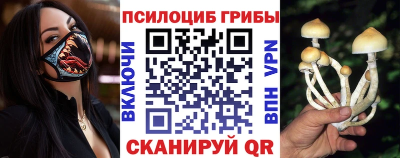 omg ТОР  Шлиссельбург  Галлюциногенные грибы мухоморы 